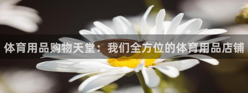 欧陆娱乐官网首页网址：体育用品购物天堂：我们全方位的