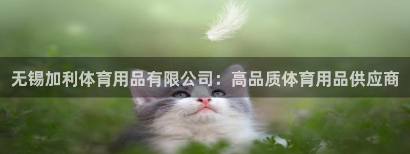 欧陆娱乐平台登陆地址：无锡加利体育用品有限公司：高品