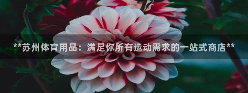欧陆娱乐挂机怎么玩游戏：**苏州体育用品：满足你所有