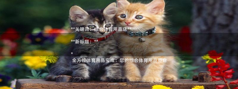 欧陆娱乐脚本怎么下载：**关键词：综合体育用品店**
