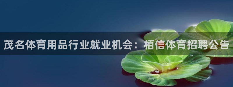 欧陆娱乐游戏：茂名体育用品行业就业机会：栢信体育招聘