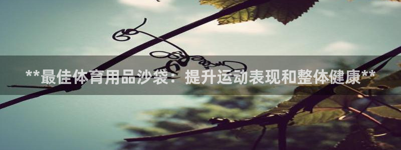 欧陆娱乐app打不开怎么回事儿：**最佳体育用品沙袋