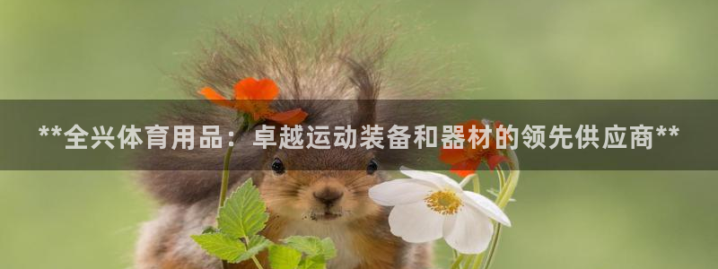 欧陆娱乐客服：**全兴体育用品：卓越运动装备和器材的