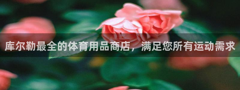 欧陆娱乐是正规平台吗安全吗：库尔勒最全的体育用品商店