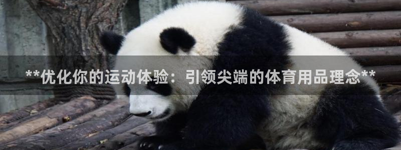 欧陆娱乐登陆平台下载：**优化你的运动体验：引领尖端
