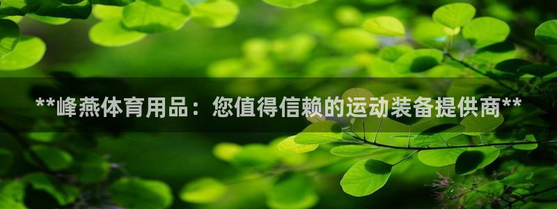 欧陆娱乐是真的假的：**峰燕体育用品：您值得信赖的运