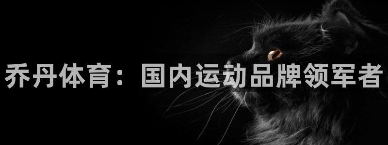 欧陆娱乐里面怎么看打排五：乔丹体育：国内运动品牌领军