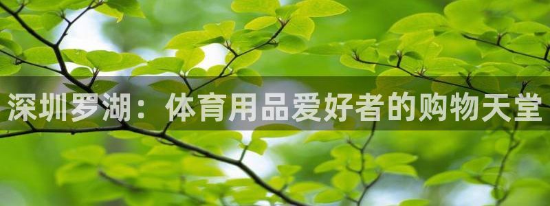 欧陆娱乐怎么注册帐号啊：深圳罗湖：体育用品爱好者的购