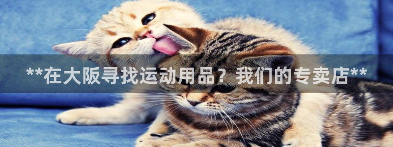 欧陆娱乐代理 贴吧是真的吗：**在大阪寻找运动用品？