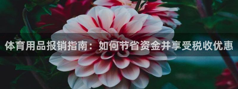 欧陆娱乐怎么注册帐号登录：体育用品报销指南：如何节省