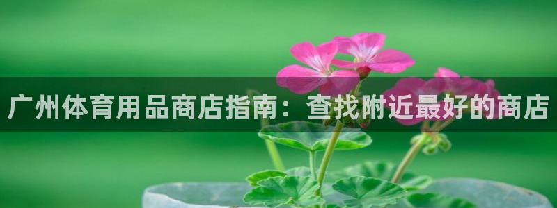 欧陆娱乐会员有什么用：广州体育用品商店指南：查找附近