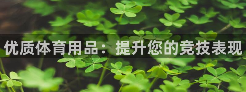 欧陆娱乐注册链接怎么弄：优质体育用品：提升您的竞技表