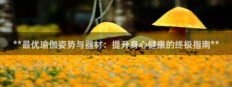欧陆娱乐出款：**最优瑜伽姿势与器材：提升身心健康的