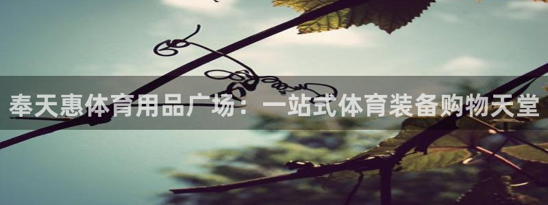 欧陆娱乐是干什么的：奉天惠体育用品广场：一站式体育装