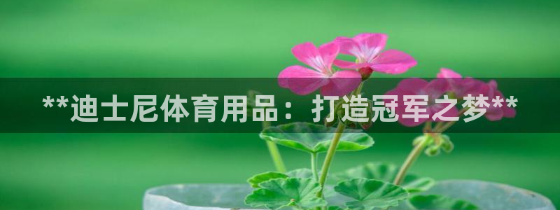 欧陆娱乐登录注册平台有哪些：**迪士尼体育用品：打造