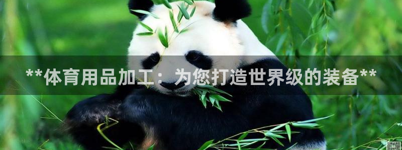欧陆娱乐app打不开怎么回事：**体育用品加工：为您