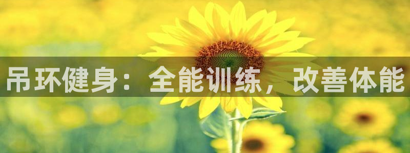 欧陆娱乐招商主管：吊环健身：全能训练，改善体能