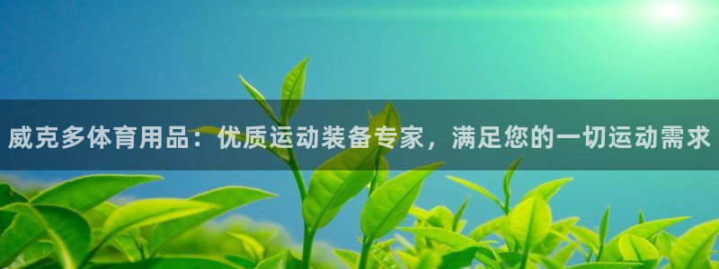 欧陆娱乐简介：威克多体育用品：优质运动装备专家，满足