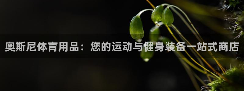 欧陆娱乐脚本：奥斯尼体育用品：您的运动与健身装备一站