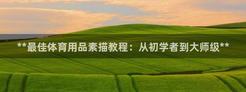 欧陆娱乐注册平台：**最佳体育用品素描教程：从初学者