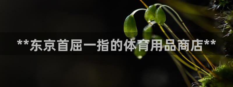 欧陆娱乐登陆平台有哪些：**东京首屈一指的体育用品商