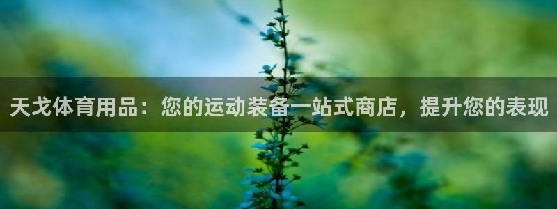 欧陆娱乐是正规平台吗安全吗知乎推荐：天戈体育用品：您