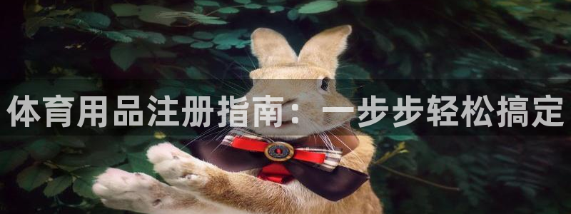 欧陆娱乐app攻略大全：体育用品注册指南：一步步轻松