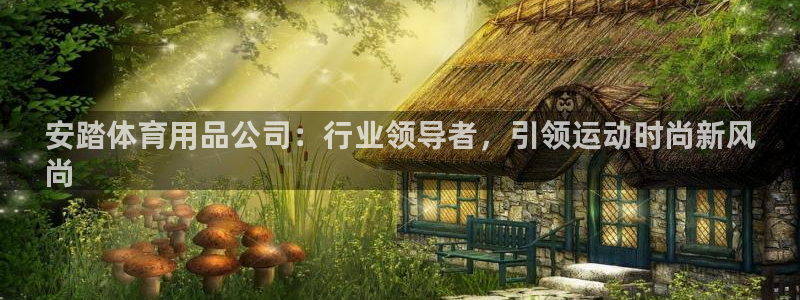 欧陆娱乐登录官网入口：安踏体育用品公司：行业领导者，
