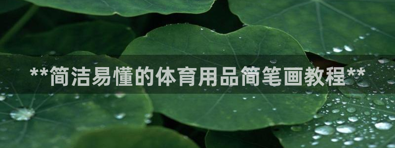 欧陆娱乐试玩官网：**简洁易懂的体育用品简笔画教程*
