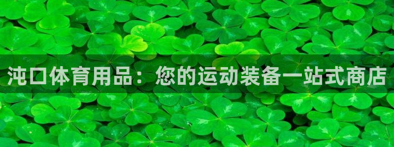 欧陆娱乐的故事：沌口体育用品：您的运动装备一站式商店