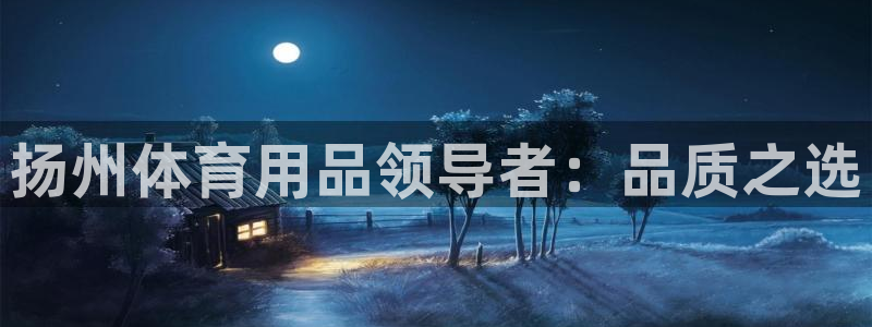 欧陆娱乐app下载安装：扬州体育用品领导者：品质之选
