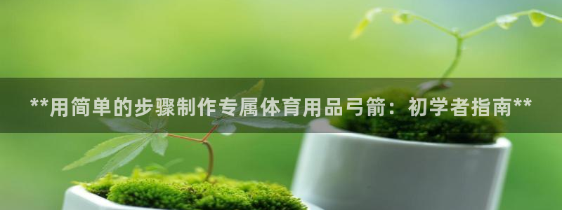 欧陆娱乐官网入口：**用简单的步骤制作专属体育用品弓