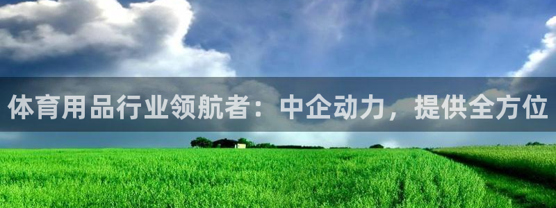 欧陆公司在哪里：体育用品行业领航者：中企动力，提供全