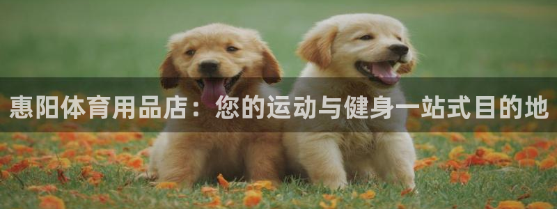 欧陆娱乐客服人工电话：惠阳体育用品店：您的运动与健身