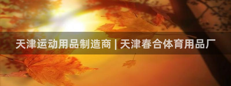 欧陆娱乐官方：天津运动用品制造商 | 天津春合体育用