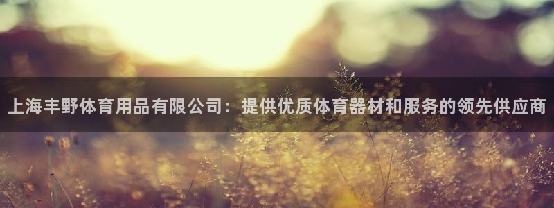 欧陆娱乐注册链接安全吗可靠吗：上海丰野体育用品有限公