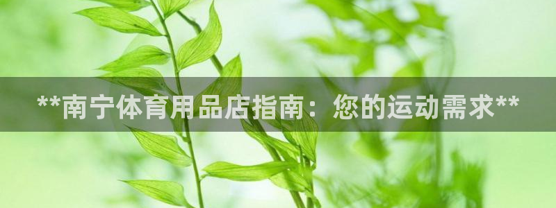 欧陆注册码：**南宁体育用品店指南：您的运动需求**