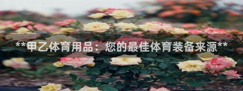 欧陆娱乐客服服务：**甲乙体育用品：您的最佳体育装备