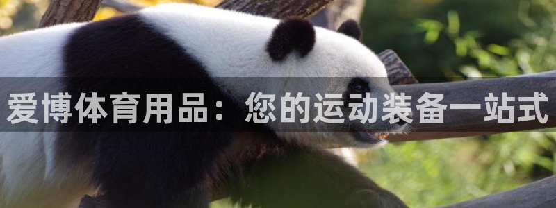 欧陆娱乐app攻略下载：爱博体育用品：您的运动装备一