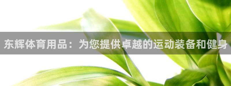 欧陆娱乐微信：东辉体育用品：为您提供卓越的运动装备和