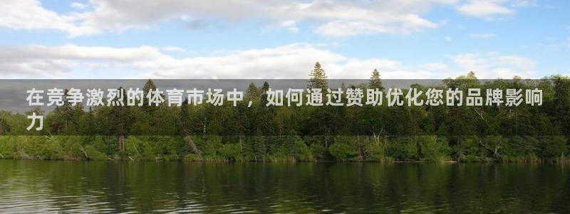 欧陆娱乐突然登录不了了：在竞争激烈的体育市场中，如何
