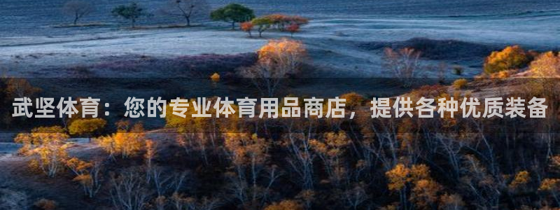 欧陆娱乐登陆平台下载：武坚体育：您的专业体育用品商店