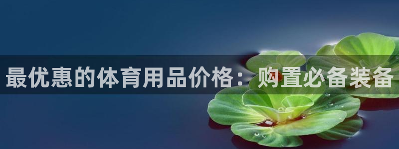 欧陆娱乐共创美好：最优惠的体育用品价格：购置必备装备