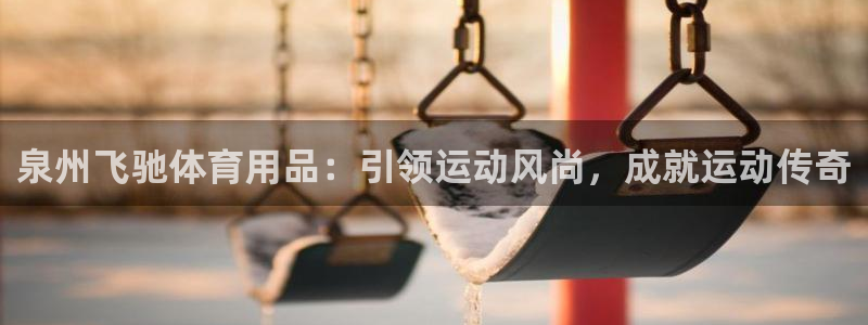欧陆娱乐平台登陆地址在哪：泉州飞驰体育用品：引领运动