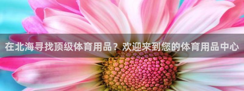 欧陆娱乐登录平台有哪些：在北海寻找顶级体育用品？欢迎