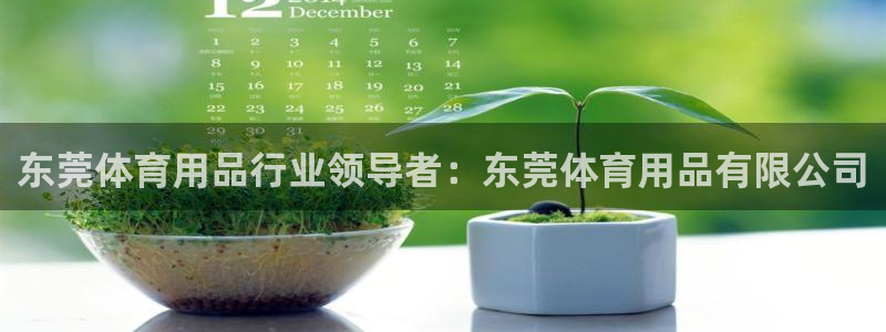 欧陆娱乐合法吗：东莞体育用品行业领导者：东莞体育用品