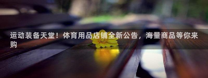 欧陆娱乐官网注册中心：运动装备天堂！体育用品店铺全新