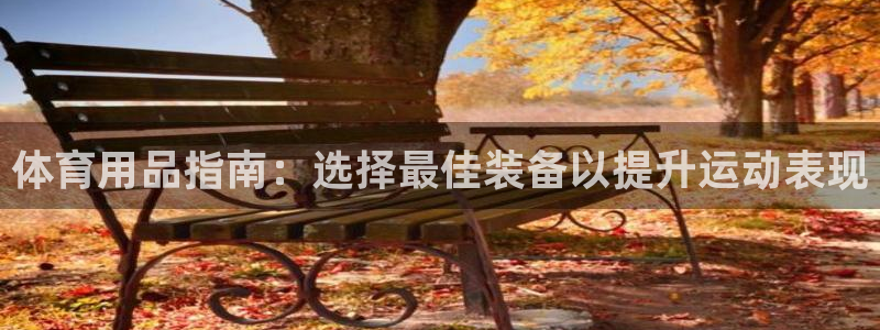 欧陆娱乐有限公司怎么样：体育用品指南：选择最佳装备以
