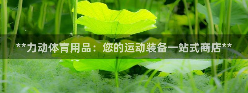 欧陆娱乐挂机怎么玩：**力动体育用品：您的运动装备一