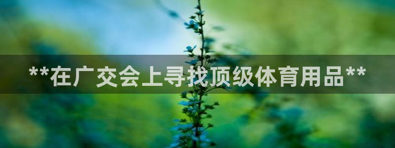 重庆欧陆娱乐有限公司：**在广交会上寻找顶级体育用品